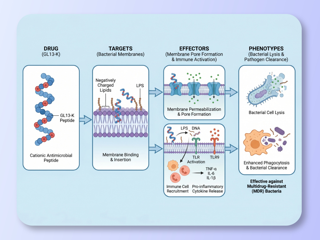 Mechanism Schematic Diagram
