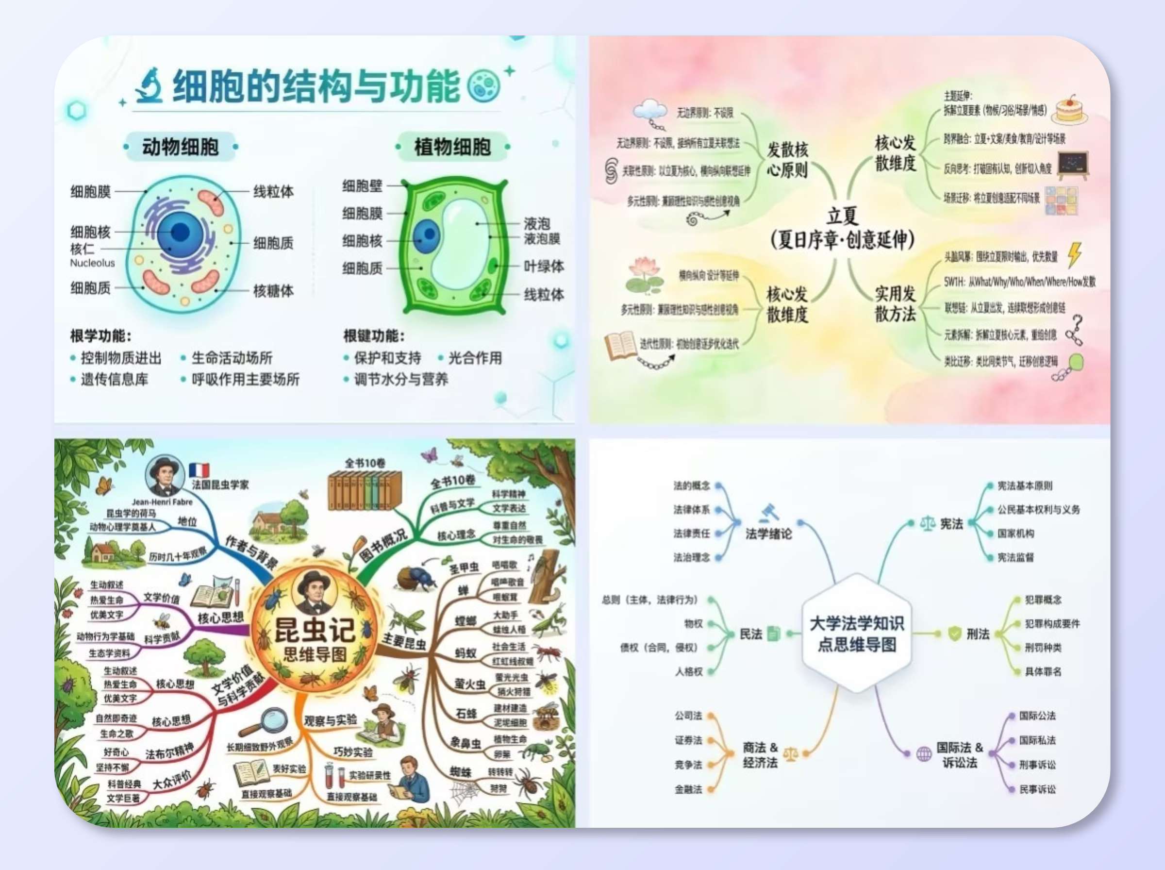 教育與學習視覺化