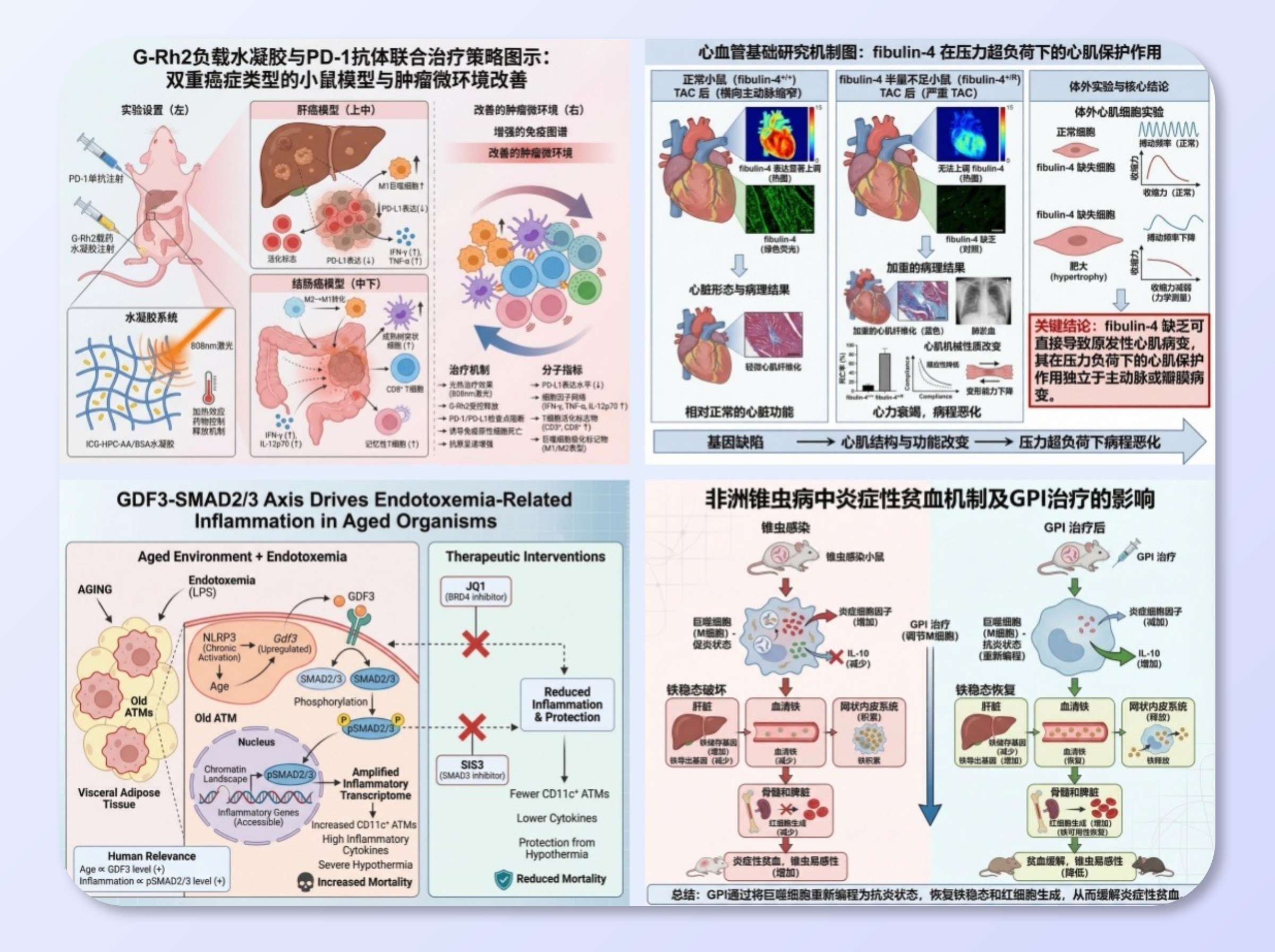 醫學資訊與數據可視化